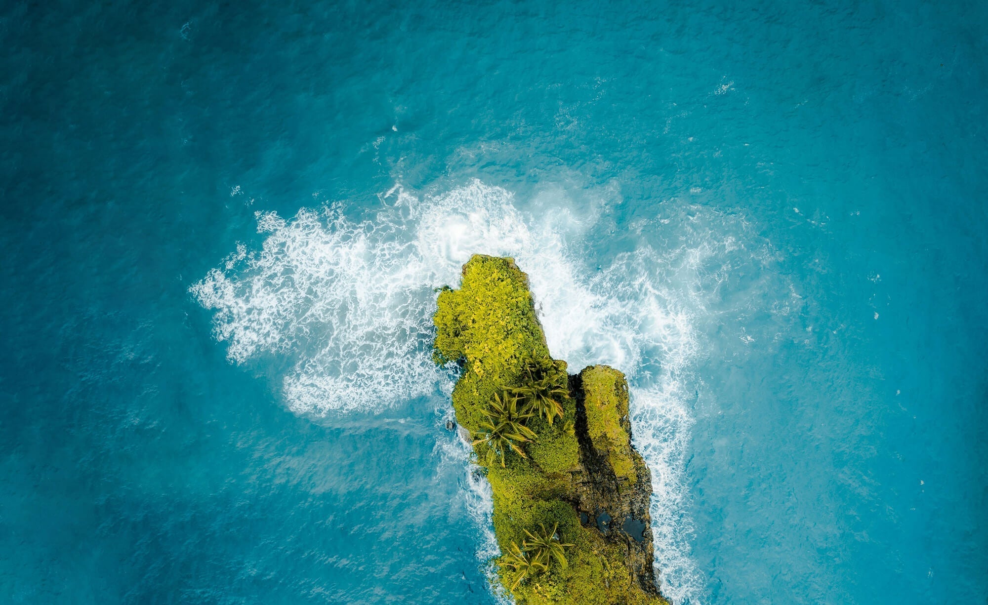 Die Geheimnisse der Blue Zones: Was die langlebigsten Menschen richtig machen – & wie du es auch kannst