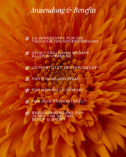 All in One Complex mit Vitaminen, Coenzym Q10 & OPC