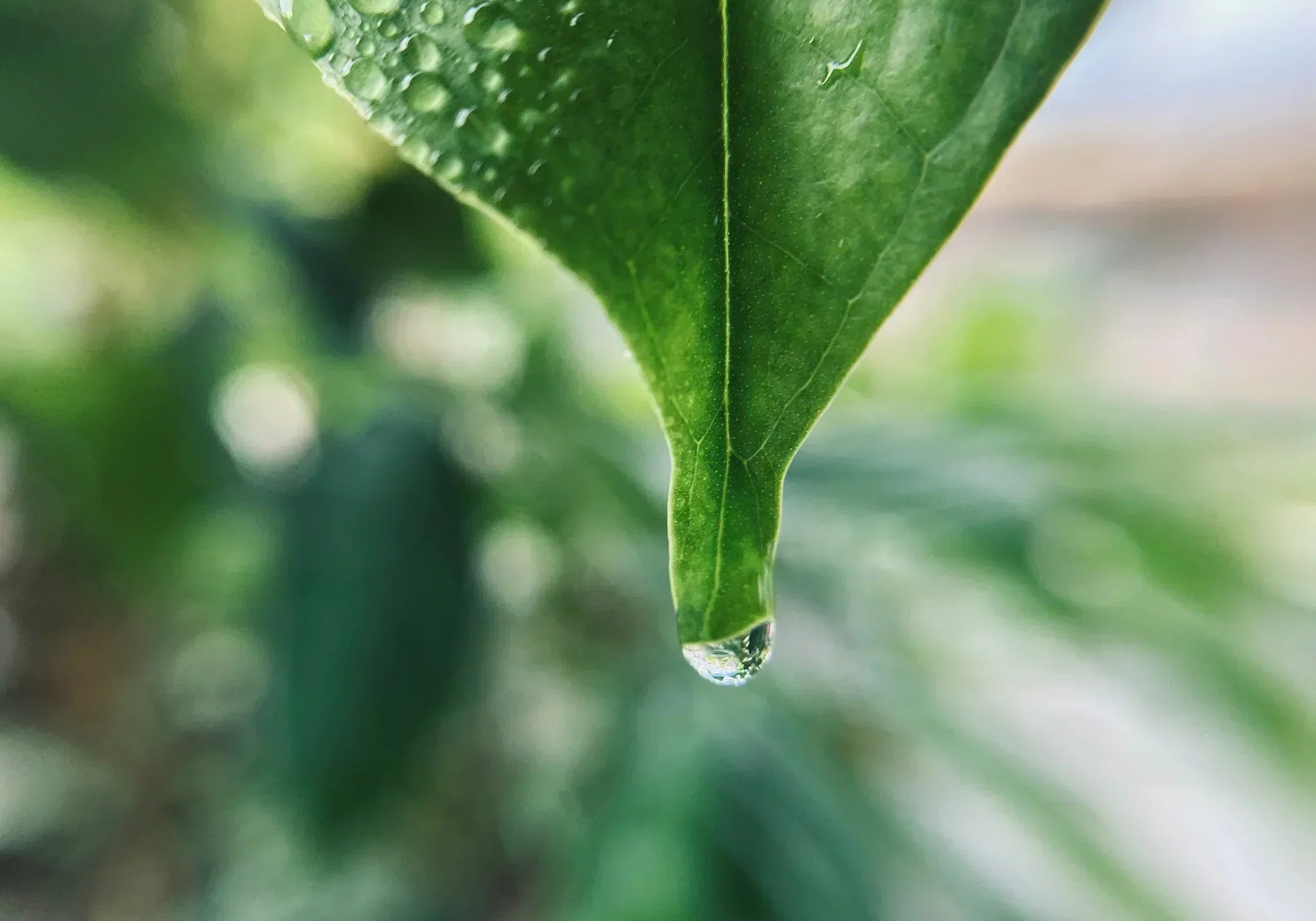 Die 5 Ebenen der NEOaging Supplement-Pyramide: Deine Orientierung für eine strukturierte Mikronährstoffroutine