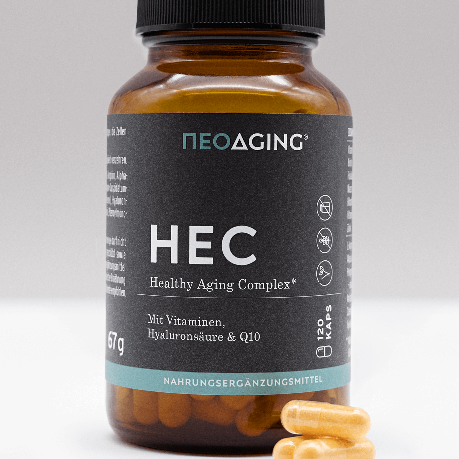 Healthy Aging | 03