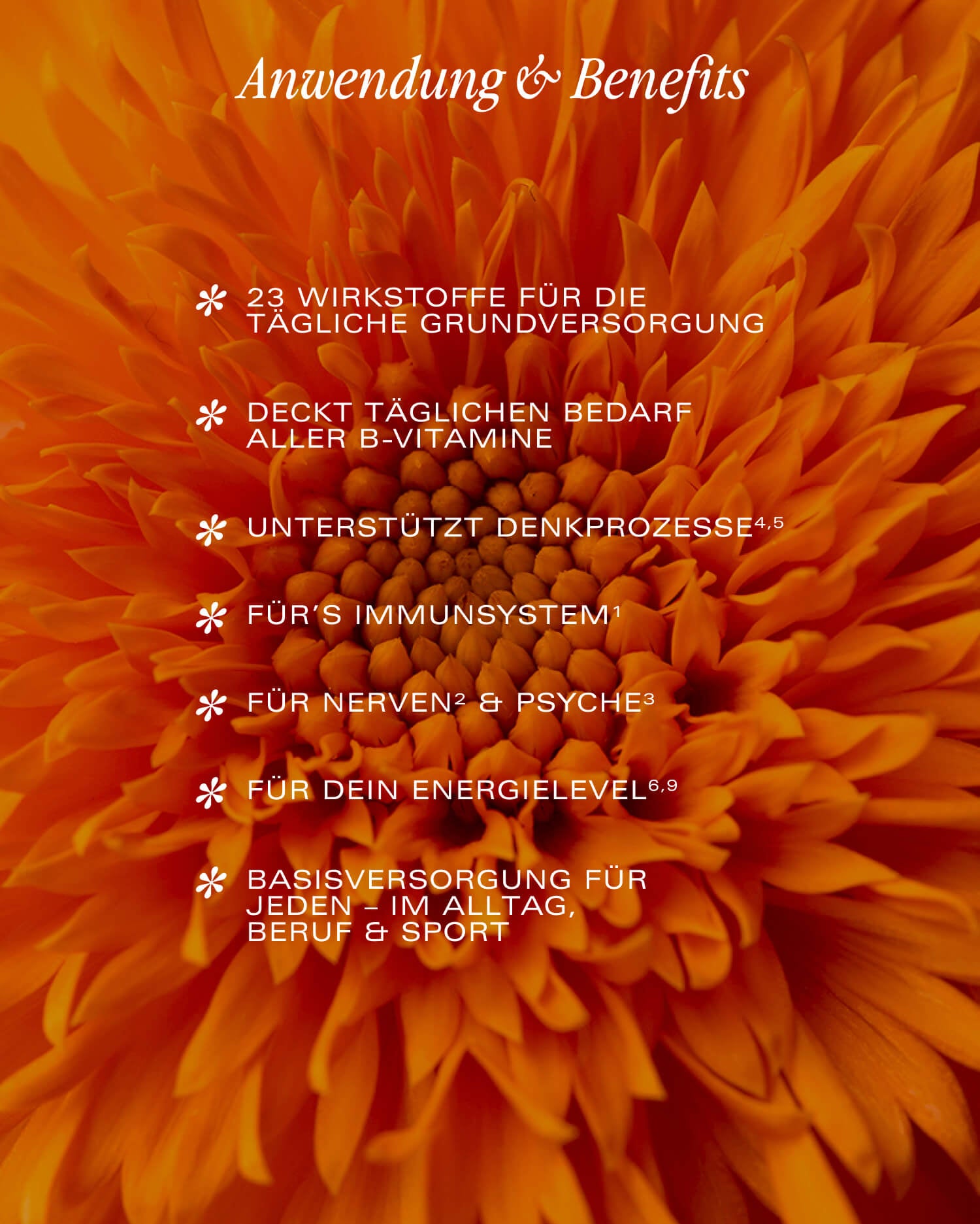 Anwendung & Benefits All In One Complex NEOaging 