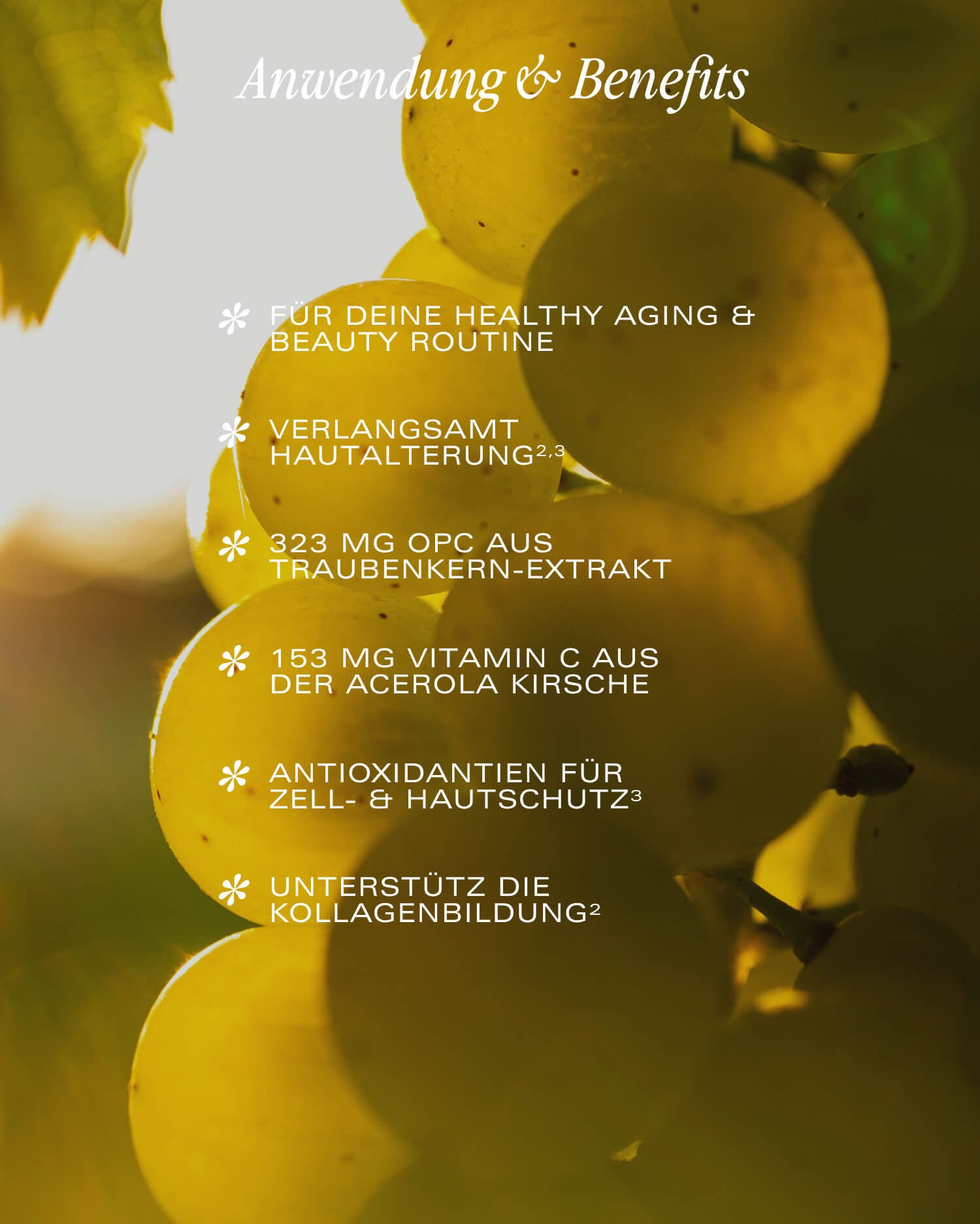 OPC Superior Traubenkern und Vitamin C Acerola Anwendung Wirkung Benefits NEOaging OPC Superior