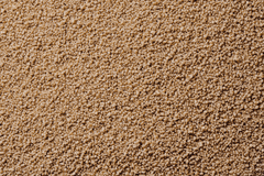 Silicium