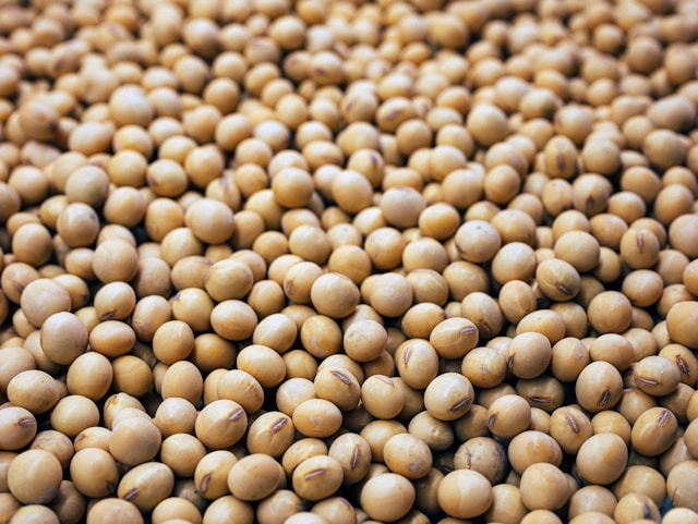 Sojalecithin.jpg