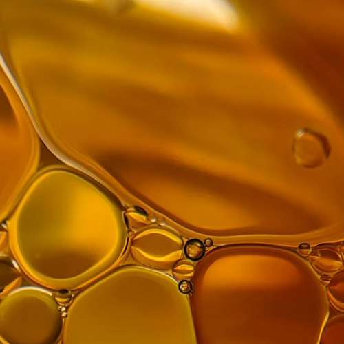 Herz-Kreislauf-Gesundheit